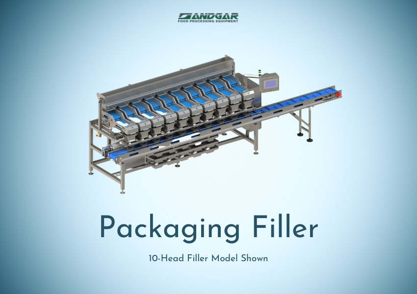 10-Head Packaging Filler Web Render